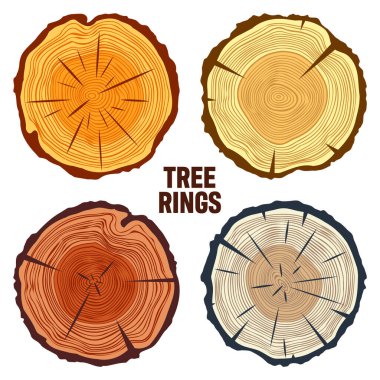 Round colorful tree trunk cuts, sawn pine or oak slices, lumber. Saw cut timber, wood. Brown wooden texture with tree rings. Hand drawn sketch. Vector illustration.