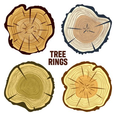 Round colorful tree trunk cuts, sawn pine or oak slices, lumber. Saw cut timber, wood. Brown wooden texture with tree rings. Hand drawn sketch. Vector illustration.