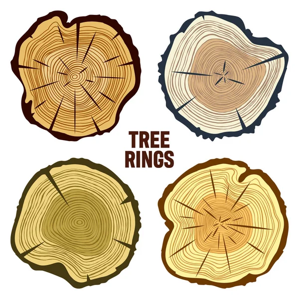 Colorful Tree Trunk Cuts Sawn Pine Oak Slices Lumber Saw — Vector de stock