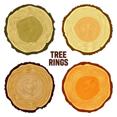 Round colorful tree trunk cuts, sawn pine or oak slices, lumber. Saw cut timber, wood. Brown wooden texture with tree rings. Hand drawn sketch. Vector illustration.
