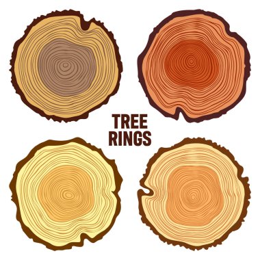 Round colorful tree trunk cuts, sawn pine or oak slices, lumber. Saw cut timber, wood. Brown wooden texture with tree rings. Hand drawn sketch. Vector illustration.