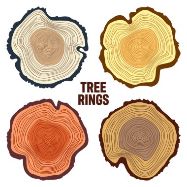 Round colorful tree trunk cuts, sawn pine or oak slices, lumber. Saw cut timber, wood. Brown wooden texture with tree rings. Hand drawn sketch. Vector illustration.