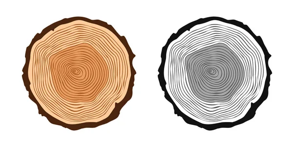 Rundstämme Verschiedenen Farben Gesägte Kiefern Oder Eichenscheiben Schnittholz Schnittholz Holz — Stockvektor