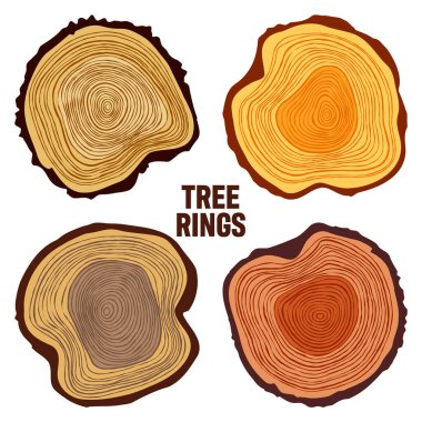 Round colorful tree trunk cuts, sawn pine or oak slices, lumber. Saw cut timber, wood. Brown wooden texture with tree rings. Hand drawn sketch. Vector illustration.