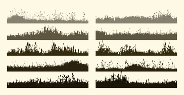 Silhouettes Prairie Avec Herbe Plantes Sur Plaine Paysage Panoramique Pelouse — Image vectorielle