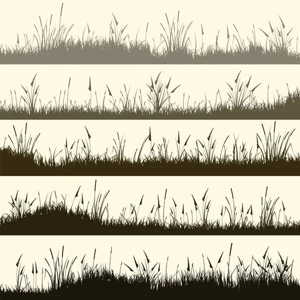 Лугові Силуети Травою Рослини Рівнині Панорамний Літній Ландшафт Травами Різними — стоковий вектор