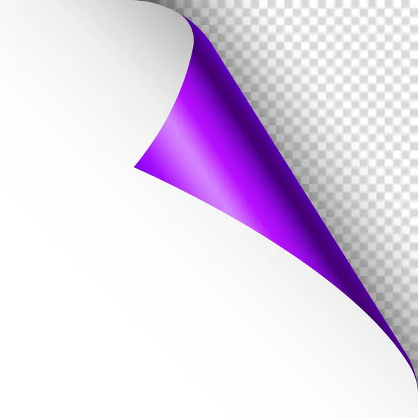 Фиолетовая Бумага Завернутый Угол Страницы Тенью Чистый Лист Бумаги Красочная — стоковый вектор