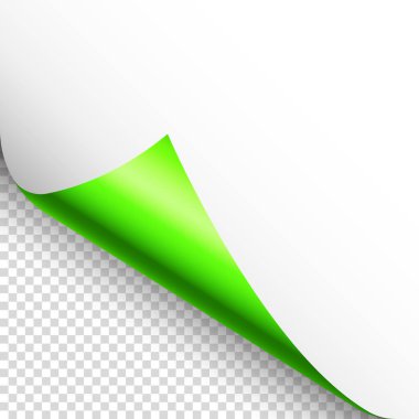 Yeşil kağıt kıvrılır. Gölgeli kıvrımlı sayfa köşesi. Boş bir kağıt parçası. Renkli parlak folyo. Reklam ve tanıtım için tasarım elemanı. Vektör illüstrasyonu