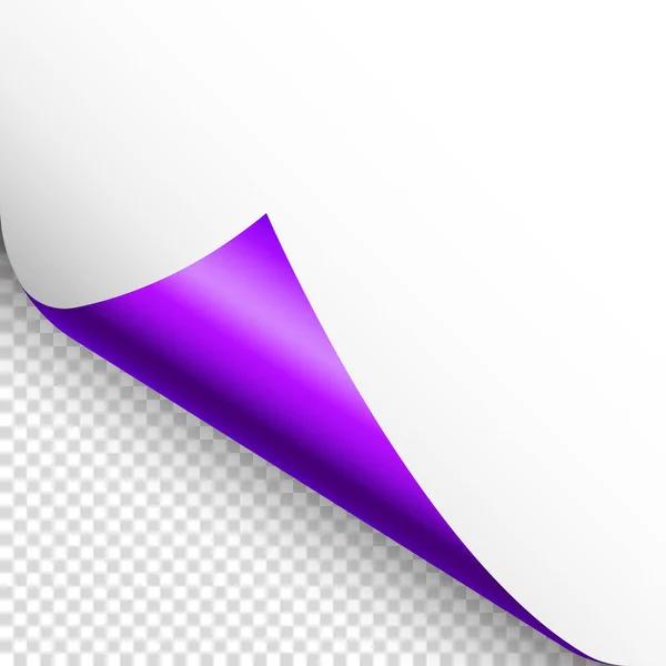 Violette Papierrolle Geschwungene Seitenecke Mit Schatten Ein Leeres Blatt Papier — Stockvektor