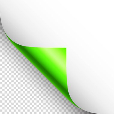 Yeşil kağıt kıvrılır. Gölgeli kıvrımlı sayfa köşesi. Boş bir kağıt parçası. Renkli parlak folyo. Reklam ve tanıtım için tasarım elemanı. Vektör illüstrasyonu