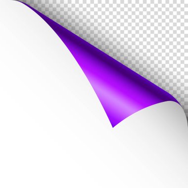 Menekşe kağıt kıvrımı. Gölgeli kıvrımlı sayfa köşesi. Boş bir kağıt parçası. Renkli parlak folyo. Reklam ve tanıtım için tasarım elemanı. Vektör illüstrasyonu