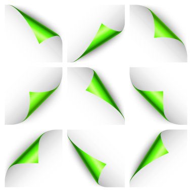 Yeşil kağıt bukleleri. Gölgeli kıvrımlı sayfa köşesi. Boş bir kağıt parçası. Renkli parlak folyo. Reklam ve tanıtım için tasarım elemanı. Vektör illüstrasyonu