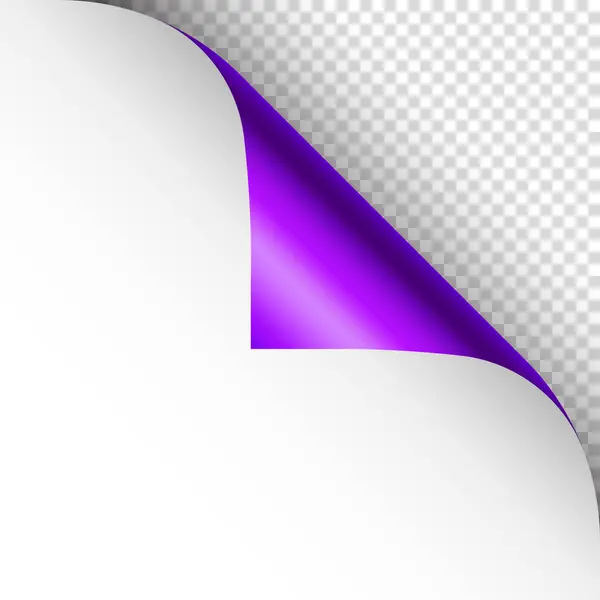 Violette Papierrolle Geschwungene Seitenecke Mit Schatten Ein Leeres Blatt Papier — Stockvektor