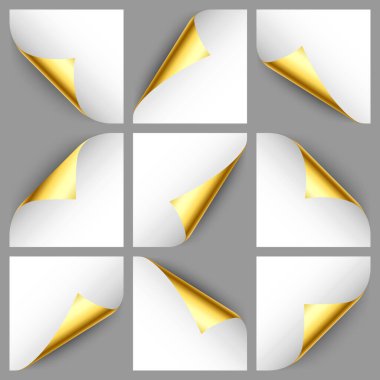 Altın sarısı bukleler. Gölgeli kıvrımlı sayfa köşesi. Boş bir kağıt parçası. Renkli parlak folyo. Reklam ve tanıtım için tasarım elemanı. Vektör illüstrasyonu