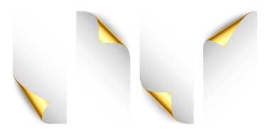 Altın sarısı bukleler. Gölgeli kıvrımlı sayfa köşesi. Boş bir kağıt parçası. Renkli parlak folyo. Reklam ve tanıtım için tasarım elemanı. Vektör illüstrasyonu