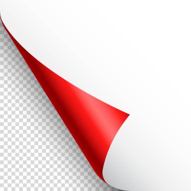 Kırmızı kağıt kıvrılır. Gölgeli kıvrımlı sayfa köşesi. Boş bir kağıt parçası. Renkli parlak folyo. Reklam ve tanıtım için tasarım elemanı. Vektör illüstrasyonu