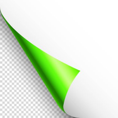 Yeşil kağıt kıvrılır. Gölgeli kıvrımlı sayfa köşesi. Boş bir kağıt parçası. Renkli parlak folyo. Reklam ve tanıtım için tasarım elemanı. Vektör illüstrasyonu