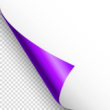 Menekşe kağıt kıvrımı. Gölgeli kıvrımlı sayfa köşesi. Boş bir kağıt parçası. Renkli parlak folyo. Reklam ve tanıtım için tasarım elemanı. Vektör illüstrasyonu