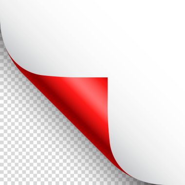 Kırmızı kağıt kıvrılır. Gölgeli kıvrımlı sayfa köşesi. Boş bir kağıt parçası. Renkli parlak folyo. Reklam ve tanıtım için tasarım elemanı. Vektör illüstrasyonu