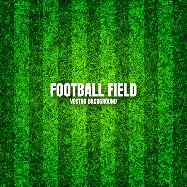 Campo Futebol Com Grama Verde Campo Futebol Fundo Com Listras Ilustrações De Bancos De Imagens Sem Royalties