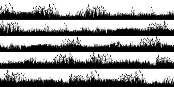 Wiesensilhouetten Mit Gras Pflanzen Auf Der Ebene Panorama Sommerrasenlandschaft Mit lizenzfreie Stockillustrationen