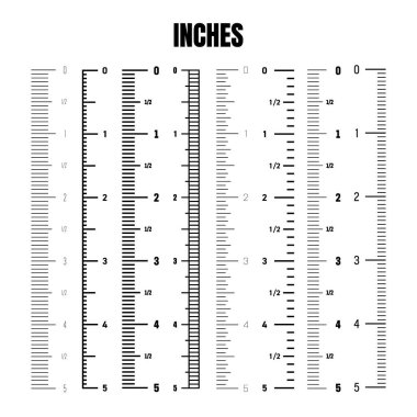 Boyunu ve boyunu ölçmek için dikey inç ölçeği. Bölünmüş farklı ölçeklerde. Cetvel, mezura işaretleri, boyut göstergeleri. Vektör illüstrasyonu.