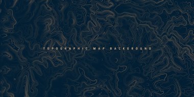 Sınır çizgileri olan topografik harita. Coğrafi arazi şebekesi, rahatlama yüksekliği. Yer yolu deseni. Seyahat ve seyrüsefer, harita tasarım elementi. Vektör illüstrasyonu.