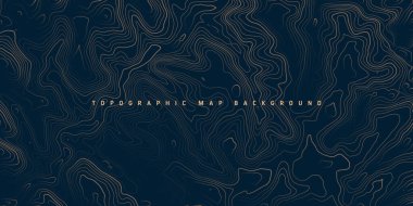 Sınır çizgileri olan topografik harita. Coğrafi arazi şebekesi, rahatlama yüksekliği. Yer yolu deseni. Seyahat ve seyrüsefer, harita tasarım elementi. Vektör illüstrasyonu.