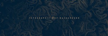 Sınır çizgileri olan topografik harita. Coğrafi arazi şebekesi, rahatlama yüksekliği. Yer yolu deseni. Seyahat ve seyrüsefer, harita tasarım elementi. Vektör illüstrasyonu.