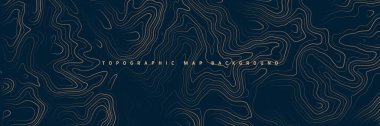 Sınır çizgileri olan topografik harita. Coğrafi arazi şebekesi, rahatlama yüksekliği. Yer yolu deseni. Seyahat ve seyrüsefer, harita tasarım elementi. Vektör illüstrasyonu.