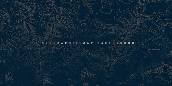 Sınır çizgileri olan topografik harita. Coğrafi arazi şebekesi, rahatlama yüksekliği. Yer yolu deseni. Seyahat ve seyrüsefer, harita tasarım elementi. Vektör illüstrasyonu.