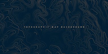 Sınır çizgileri olan topografik harita. Coğrafi arazi şebekesi, rahatlama yüksekliği. Yer yolu deseni. Seyahat ve seyrüsefer, harita tasarım elementi. Vektör illüstrasyonu.