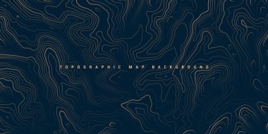 Sınır çizgileri olan topografik harita. Coğrafi arazi şebekesi, rahatlama yüksekliği. Yer yolu deseni. Seyahat ve seyrüsefer, harita tasarım elementi. Vektör illüstrasyonu.