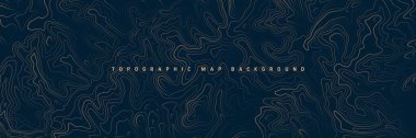 Sınır çizgileri olan topografik harita. Coğrafi arazi şebekesi, rahatlama yüksekliği. Yer yolu deseni. Seyahat ve seyrüsefer, harita tasarım elementi. Vektör illüstrasyonu.