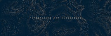 Sınır çizgileri olan topografik harita. Coğrafi arazi şebekesi, rahatlama yüksekliği. Yer yolu deseni. Seyahat ve seyrüsefer, harita tasarım elementi. Vektör illüstrasyonu.