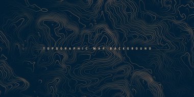 Sınır çizgileri olan topografik harita. Coğrafi arazi şebekesi, rahatlama yüksekliği. Yer yolu deseni. Seyahat ve seyrüsefer, harita tasarım elementi. Vektör illüstrasyonu.