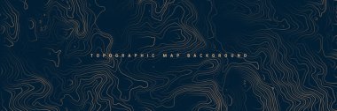 Sınır çizgileri olan topografik harita. Coğrafi arazi şebekesi, rahatlama yüksekliği. Yer yolu deseni. Seyahat ve seyrüsefer, harita tasarım elementi. Vektör illüstrasyonu.