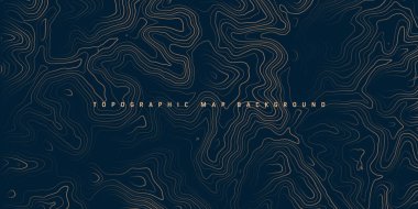 Sınır çizgileri olan topografik harita. Coğrafi arazi şebekesi, rahatlama yüksekliği. Yer yolu deseni. Seyahat ve seyrüsefer, harita tasarım elementi. Vektör illüstrasyonu.