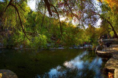 Ida Dağları 'ndaki Ayazma Milli Parkı ve köprünün altından akan nehirler