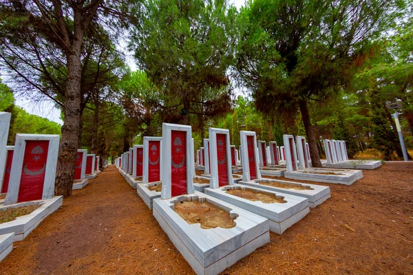 stock image Canakkale Martyrs' Memorial against to Dardanelles Strait