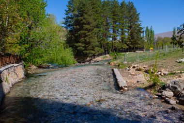 Filriz, Konya 'nın Halkapnar ilçesinin Vriz ilçesinde Ereli ilçesinin 12 km güneydoğusunda yer alan Demir Çağı arkeoloji alanıdır..