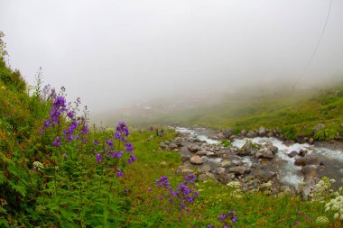 Elevit Yaylası (Çamlıhemşin / Rize / Türkiye)