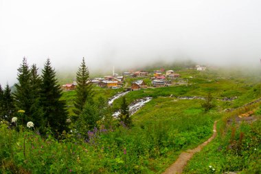 Elevit Yaylası (Çamlıhemşin / Rize / Türkiye)