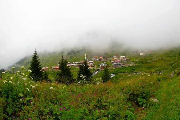 Elevit Yaylası (Çamlıhemşin / Rize / Türkiye)