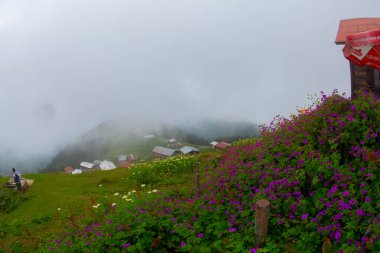 Pokut Yaylası Rize Camlihemsin Türkiye