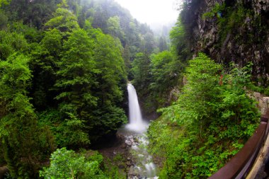 Camlihemsin 'deki Palovit Şelalesi Türkiye' yi Rize