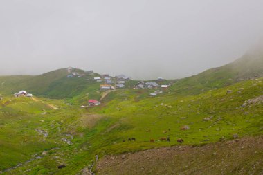Gito Platosu 'nda Bulut Denizi, Camlihemsin Rize, Türkiye
