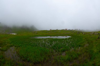 Kocduzu Platosu, Camlihemsin, Rize - Türkiye
