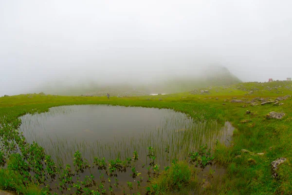 Kocduzu Plateau Camlihemsin Rize Türkei — Stockfoto