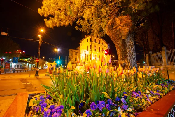 Hagia Sophia Tulip Gardens Evening Fotos Estéticas — Fotografia de Stock